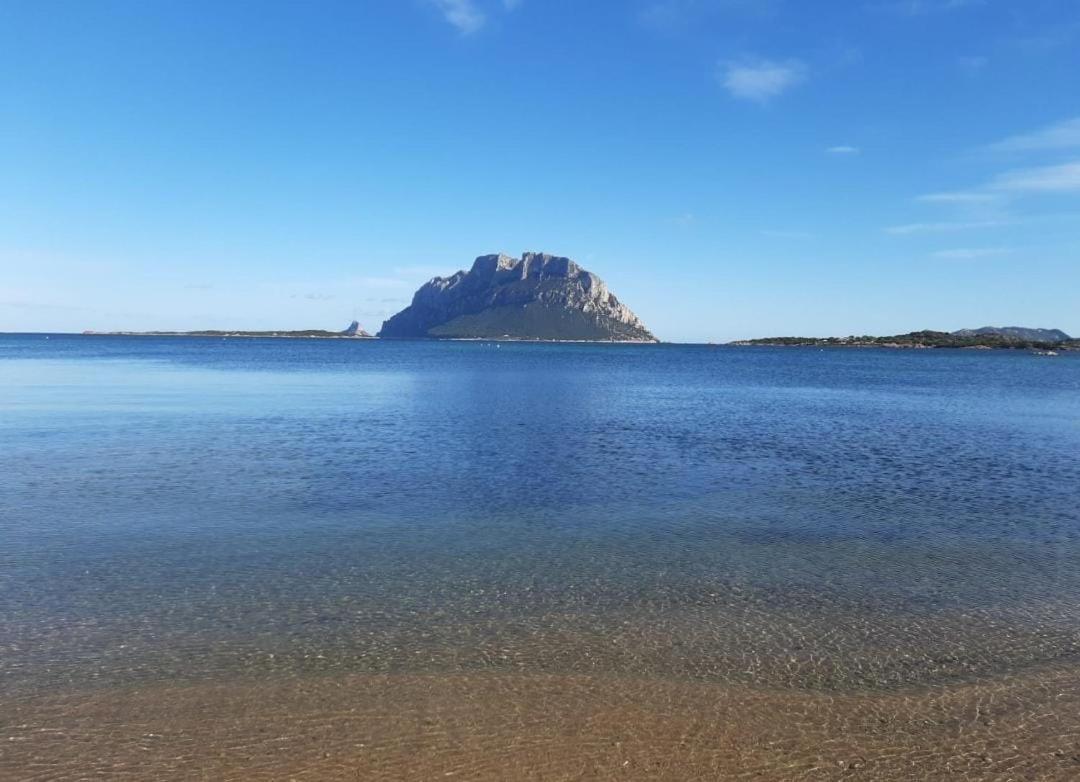 Magic Dalu Con Posto Auto Olbia Exterior foto